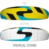 Tropical Storm